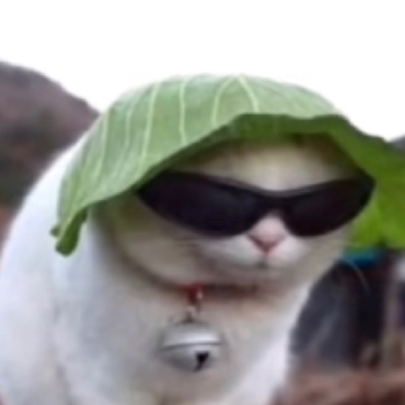 Meet your Posher, Paige - Picture 1 of 1